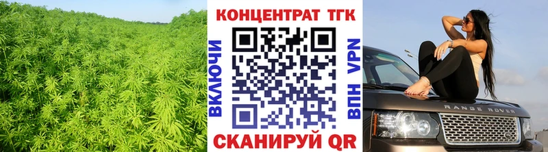 купить   площадка какой сайт  ТГК Wax  Высоцк 
